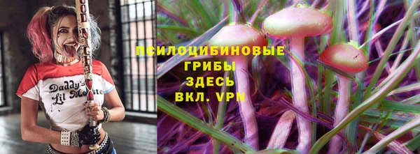 прущая мука Алзамай