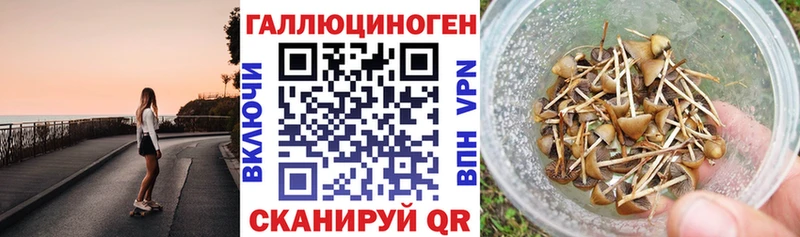 Псилоцибиновые грибы Psilocybe  ОМГ ОМГ   Печоры 